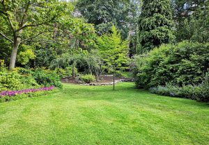 Optimiser l'expérience du jardin à Bouzincourt